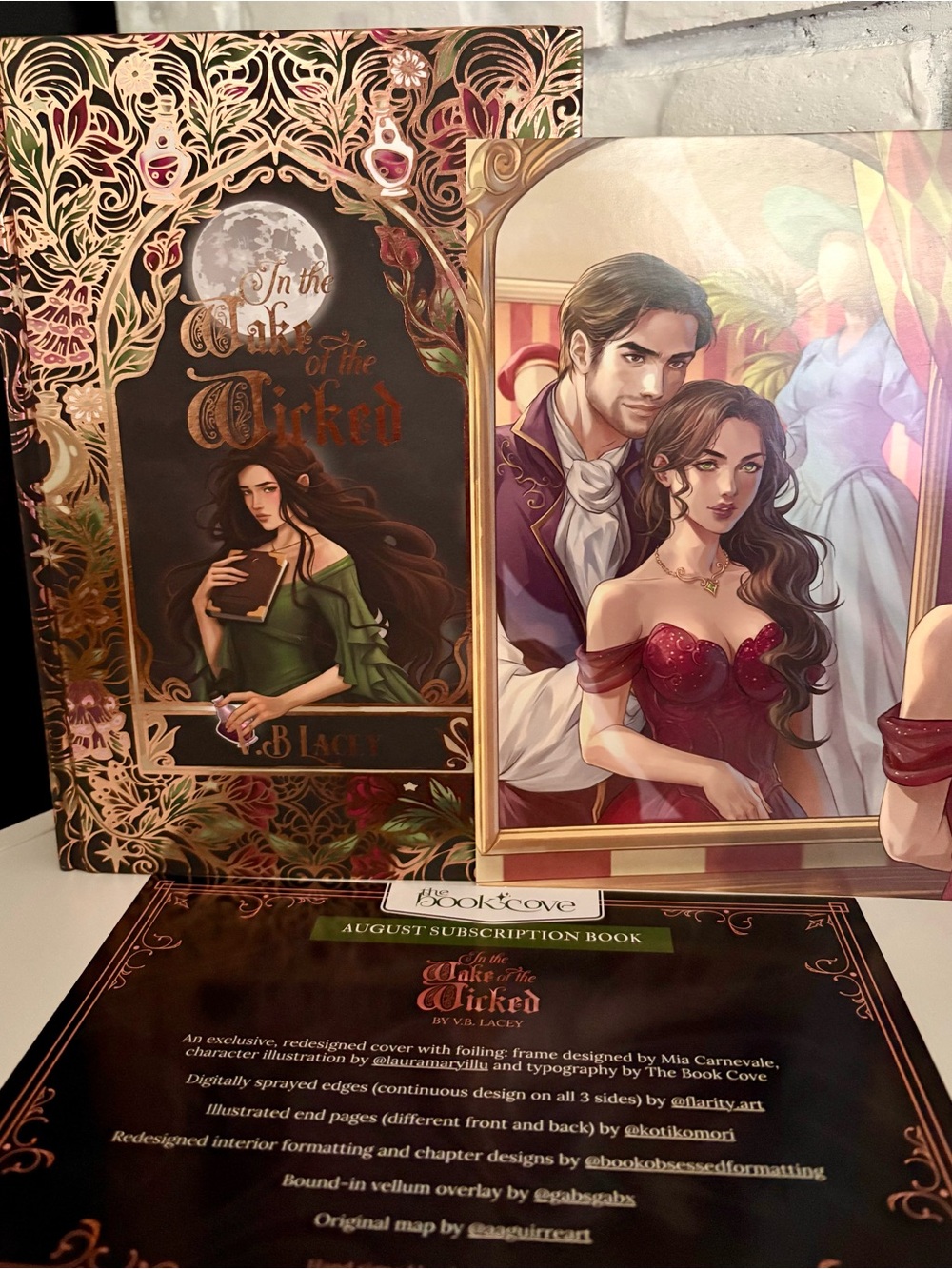 The Book Cove - In The Wake of the Wicked Special Edition